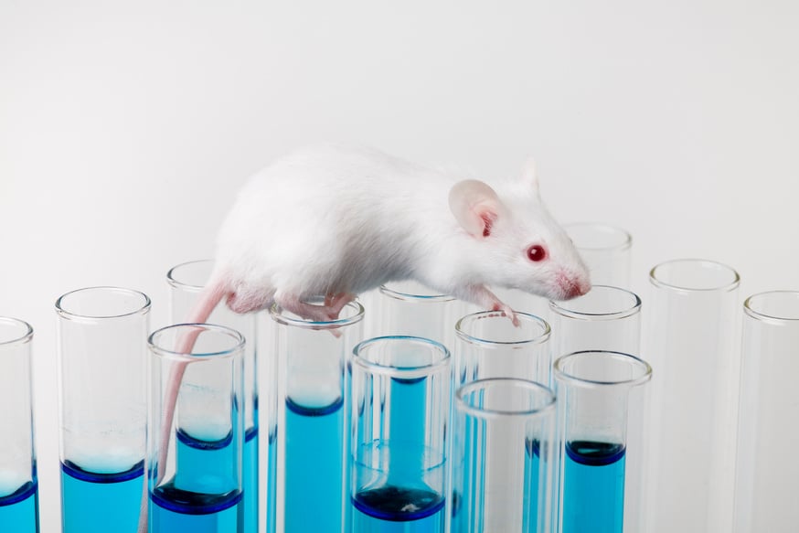 Mouse on Test Tubes with Chemical